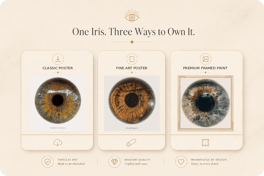 Product choice interface for digital and print iris mosaic formats.